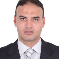 Mahmoud elnefiawy, Store Manager