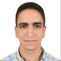 Abdelsalam Sawy, iOS Technical Lead