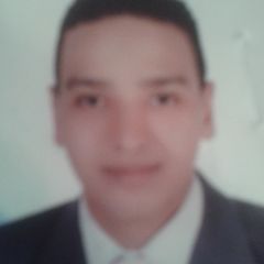 Amr Abd El-samee Ahmed Ali