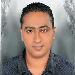 أحمد عمارة, محاسب