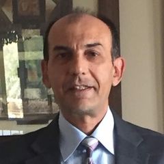Tarek Raffa, Sr. Portfolio Manager (PMO Head)