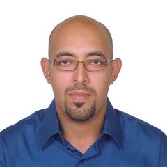 Michel  wadie Hawash