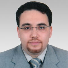 Ayman Ibrahim Hamed Nasr, IT Project Manager