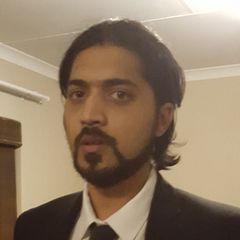 Ameer Baig, Business Analyst