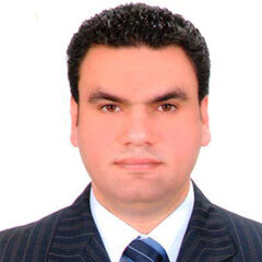 Tamer Elashry, Country Logistics & Fulfillment Manager 