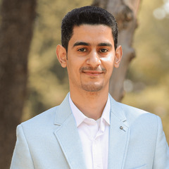محمد محمد, Faculty Lecturer