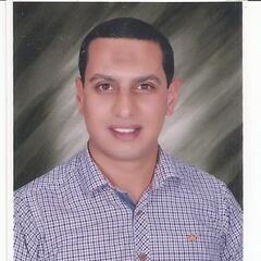 MAHMOUD MOHAMED ABOARAB, Stock Controller