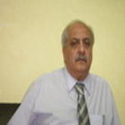 Safwan Al-Futaieh, Senior project manager 