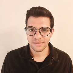 Abdelzaher Mohamed