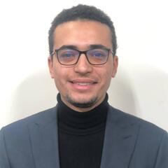 Hazem Ibrahim, Sales Team Lead - Partnerships Executive