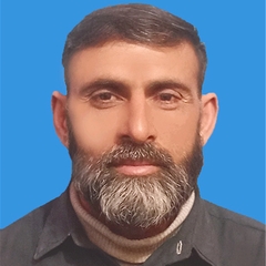 Muhammad Rafiq