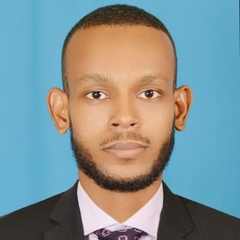 Othman Mohammeb, محاسب مبتدئ