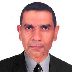 Nabil Dawaba, GIS Consultant ,GIS programmer