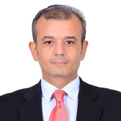 Hesham ZAKY, Financial Operation Manager (Chief Accountant).