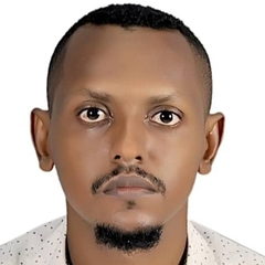 mohamed hassan