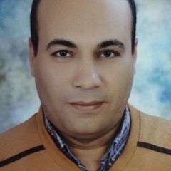 علي زايد