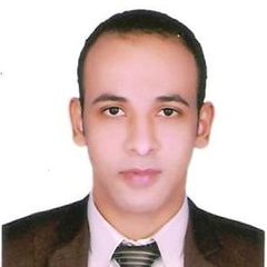 Mohammed Salah Abd El Hakiem, Quality assurance specialist