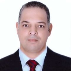 Dr.Eng. Mohamed Kafafy, Project Manager