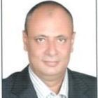 emad negm, projects manager