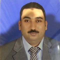 عماد محمد هاشم بكر, Project Controls Manager