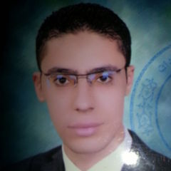 أحمد إبراهيم, مهندس جوده