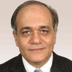 Nabeel Joudah, Executive Consultant