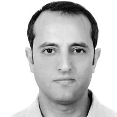 Samer Bounasreddine, Sales Executive/Business Development