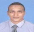 Ahmed Soliman Mahmoud, Accountant