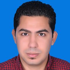 مينا عماد حنين,  Network & System Administrator Engineer