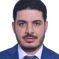 mohammed mahmoud mohamed metwally,     Senior Accountant  &  Accounts Manager Assistant