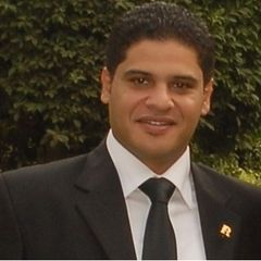 ريمون إبراهيم, Business Development Manager Assistant