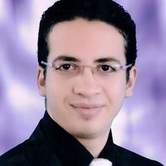 محمود محسن حلمى السيد, Designer