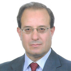 Mahmoud Yousef  Shadfan, PMC Project Manager