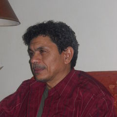 Mustafa S. Abdelseed Abu-Salah