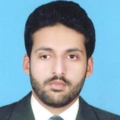 Sardar Ali Mumtaz, Customer Service Representative