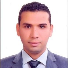 Ahmed Goher, محاسب تحت التمرين