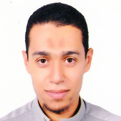 أنس صلاح محمد, التدريس - البحث العلمي