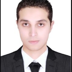Mahmoud Abdelshafy, Sales Engineer