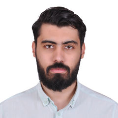 Mostafa Asar, Sales Executive