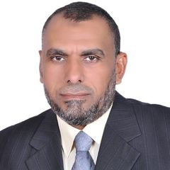 Elsayed Zaky, مدير مشروع 