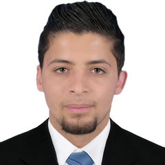 أحمد علي أحمد التريكي, Engineer
