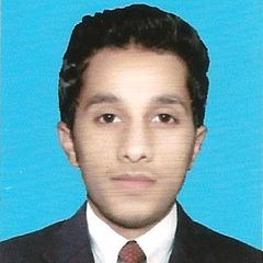 Muhammad Waseem Sakhi Sakhi Muhammad