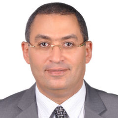 Wael Ammar, Director, Project Controls