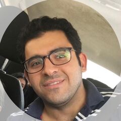 Mostafa Elassal, electrical project manager