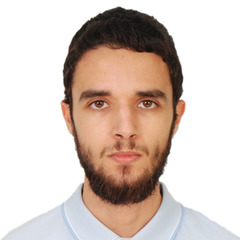 Ali Ilyes MANSOUR - Full Stack Web Developer - Bayt.com People