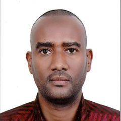 diaeldin elamin, technical support and network engineer