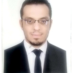 Mohamed  Hamdy Mohamed Ahmed 
