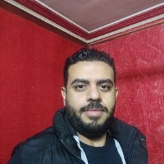 Alaa Eldin  Kamel Sabry