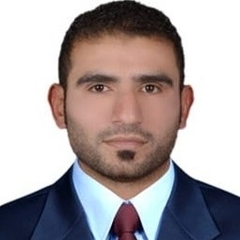 Aamir  Raza