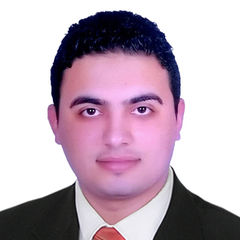 Osama Mohamed Hassanein